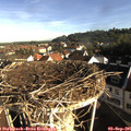 08_20-nest.jpg