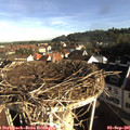 08_25-nest.jpg