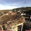 08_30-nest.jpg