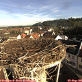 08_35-nest.jpg