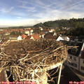 08_55-nest.jpg