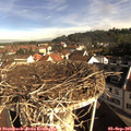 09_00-nest.jpg