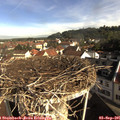 09_05-nest.jpg