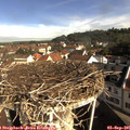 09_15-nest.jpg
