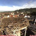09_20-nest.jpg