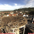 09_25-nest.jpg
