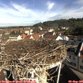 09_30-nest.jpg