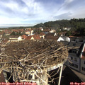 09_35-nest.jpg