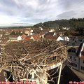 09_40-nest.jpg