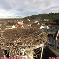 09_45-nest.jpg