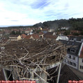 09_55-nest.jpg