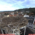 10_00-nest.jpg