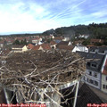 10_05-nest.jpg