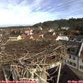 10_10-nest.jpg