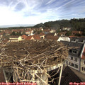 10_15-nest.jpg