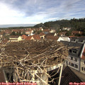 10_20-nest.jpg