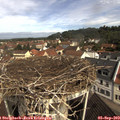 10_30-nest.jpg