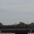 10_35-mast.jpg