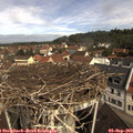 10_35-nest.jpg
