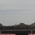 10_40-mast.jpg