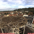 10_45-nest.jpg