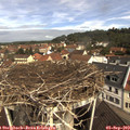 10_50-nest.jpg