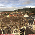 10_55-nest.jpg