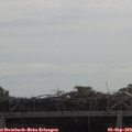 11_00-mast.jpg