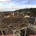 11_00-nest.jpg