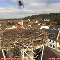 11_05-nest.jpg