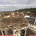 11_10-nest.jpg