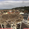 11_15-nest.jpg