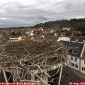 11_20-nest.jpg