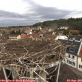 11_25-nest.jpg