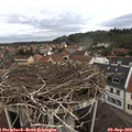 11_30-nest.jpg