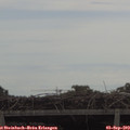 11_35-mast.jpg