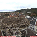 11_35-nest.jpg