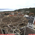 11_40-nest.jpg