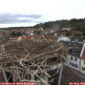 11_50-nest.jpg
