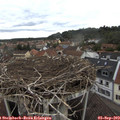 11_55-nest.jpg
