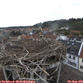 12_05-nest.jpg