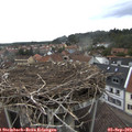 12_15-nest.jpg