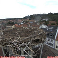 12_20-nest.jpg