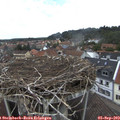 12_25-nest.jpg
