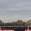 12_35-mast.jpg