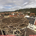 12_35-nest.jpg