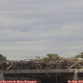 12_45-mast.jpg