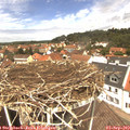 12_45-nest.jpg