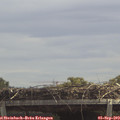 12_50-mast.jpg