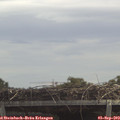 12_55-mast.jpg